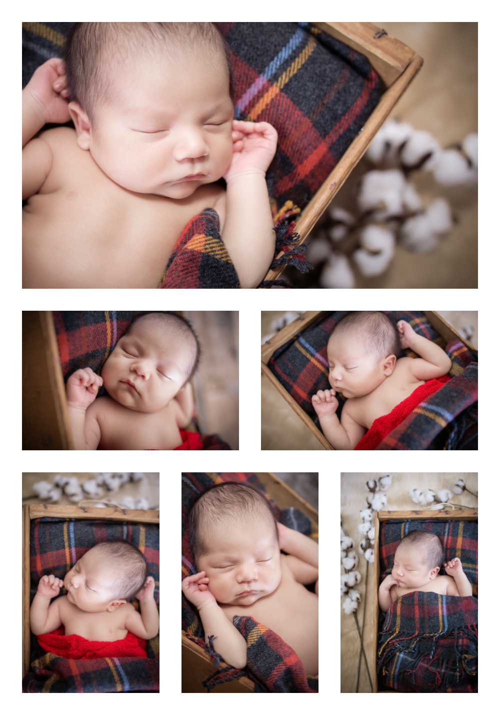 Introducing Mateo | Pink Spruce Photography | Beaver Dam, WI Newborn Session